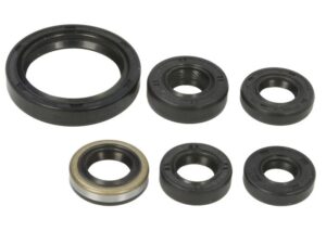 Motor szimmering készlet W822334 Winderosa