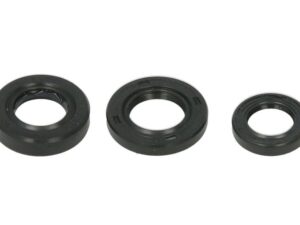 Motor szimmering készlet W822389 Winderosa