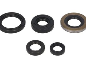 Motor szimmering készlet W822139 Winderosa
