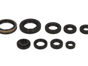 Motor szimmering készlet W822131 Winderosa