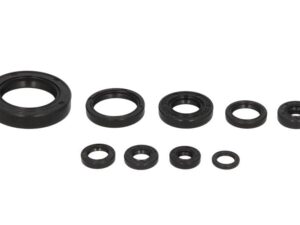 Motor szimmering készlet W822177 Winderosa