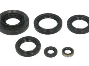 Motor szimmering készlet W822366 Winderosa