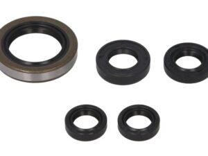 Motor szimmering készlet W822249 Winderosa