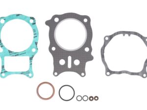 Felső Motor Tömítéskészlet W810841 Winderosa