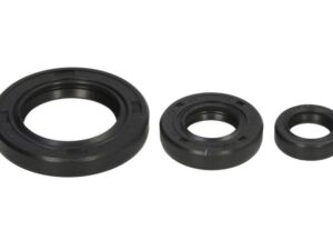 Motor szimmering készlet W822339 Winderosa