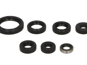 Motor szimmering készlet W822136 Winderosa