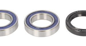 All Balls Kerékcsapágy készlet 25-1250