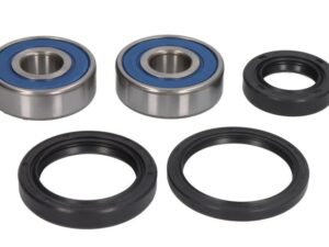 All Balls Kerékcsapágy készlet 25-1307