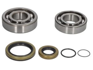 All Balls Főtengelycsapágy 24-1118